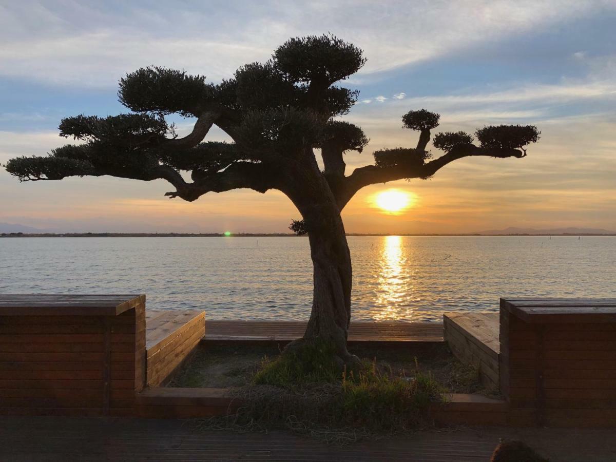 Barcaresa-Appartement Belle Vue Mer Piscine Tennis Mini Golf Wifi Le Barcarès Eksteriør bilde